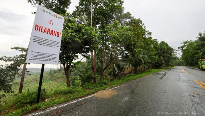 Plang larangan aktivitas ilegal di kawasan hutan Taman Bukit Soeharto, Kutai Kartanegara, Kaltim.