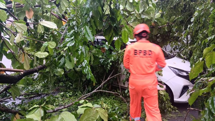 Pohon tumbang di Jalan Dharma Praja Banjarmasin Timur