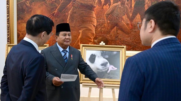 Ini Potret Bayi Panda Satrio Wiratama yang Namanya Diberikan Prabowo