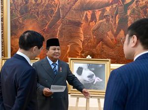 Saat Prabowo Pamerkan Foto Bayi Panda Satrio ke Ketua MPR China