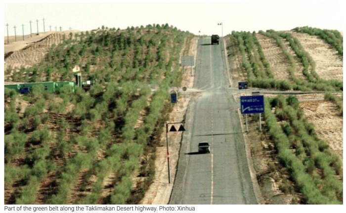 Bukan Deforestasi, China Malah Hutankan Gurun Puluhan Tahun