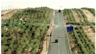 Satelit NASA Ungkap Tembok Hijau China Ampuh Hambat Perluasan Gurun