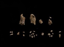 Riset Terbaru Ungkap Dua Jenis Manusia Purba Hidup Berdampingan, Kok Bisa?