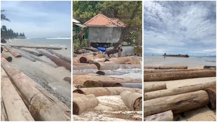 Kapal Asal Sumbar Angkut Ribuan Batang Kayu Kandas di Perairan Lampung