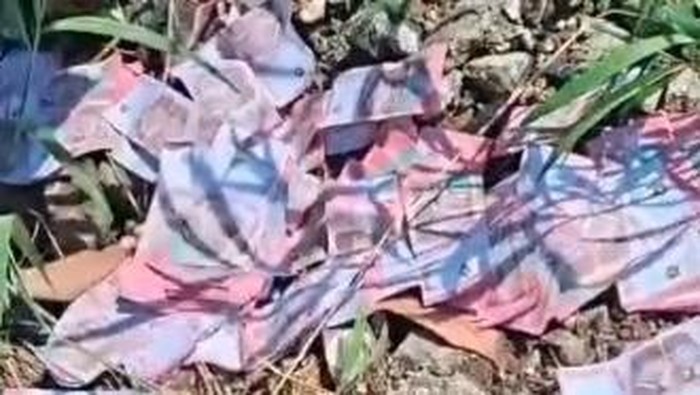 Viral Temuan Uang Palsu Rp 100 Ribu Terhambur di Jalan Morowali, Ini Faktanya