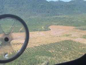 Mafia Tanah Mengintai Usai Bencana Sumatera, Sawah Kena Banjir Jadi Incaran