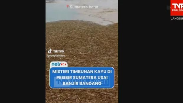 Titiek Soeharto Titiek Soeharto dalam rapat dengan Menhut di Komisi IV DPR