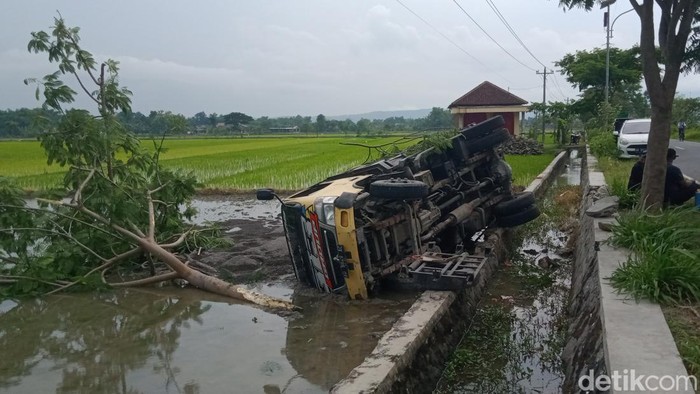 Truk Terguling Nyebur Sawah Usai Tabrak Pohon di Klaten