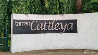 Taman Cattleya Ruang Hijau Asri di Tengah Jakarta Barat