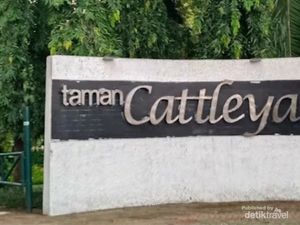 Taman Cattleya Ruang Hijau Asri di Tengah Jakarta Barat