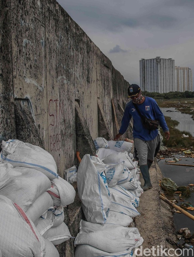 Ditambal Darurat, Tanggul Muara Baru Kini Aman Sementara