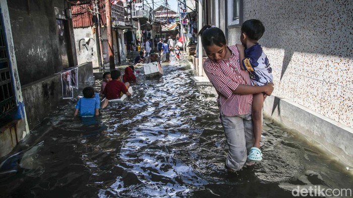 Sejumlah warga tampak terus beraktivitas di tengah genangan banjir rob yang merendam kawasan Kampung Empang, Muara Angke, Jakarta Utara, Jumat (5/12/2025). Sejak pagi, air pasang yang datang dari pesisir perlahan naik dan menyusup ke pemukiman padat tersebut, menjadikan jalan-jalan lingkungan berubah menjadi lorong-lorong air setinggi mata kaki hingga betis orang dewasa.