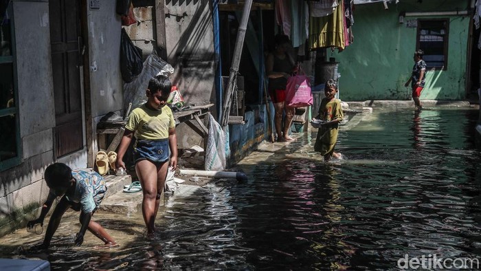 Sejumlah warga tampak terus beraktivitas di tengah genangan banjir rob yang merendam kawasan Kampung Empang, Muara Angke, Jakarta Utara, Jumat (5/12/2025). Sejak pagi, air pasang yang datang dari pesisir perlahan naik dan menyusup ke pemukiman padat tersebut, menjadikan jalan-jalan lingkungan berubah menjadi lorong-lorong air setinggi mata kaki hingga betis orang dewasa.