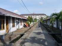 Pemerintah Cari Lokasi Huntara Korban Banjir Sementara, Bidik Lahan Sawit
