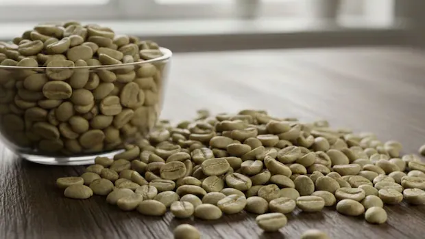 Kopi hijau Kopi hijau.