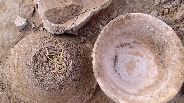 4.000 Tahun Terkubur, Temuan Mangkuk Mie Kuno Bikin Arkeolog Terpana