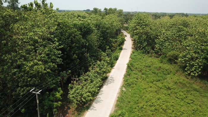 Daftar 32 Jalan di Indramayu Selesai Diperbaiki, Mobilitas Kian Lancar