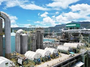Toba Pulp Lestari Langsung Buka Suara Usai Disikat Luhut