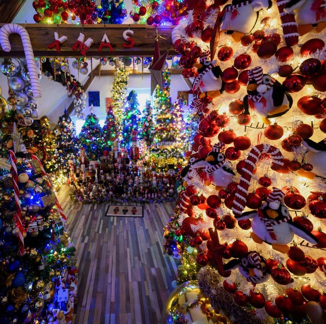 Rekor Dunia, Rumah di Jerman Dipenuhi 621 Pohon Natal