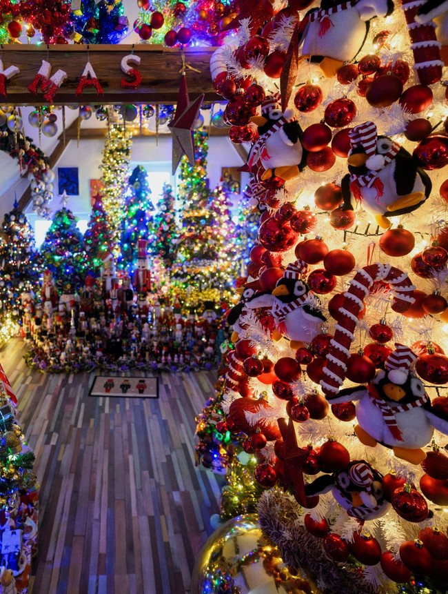 Rekor Dunia, Rumah di Jerman Dipenuhi 621 Pohon Natal