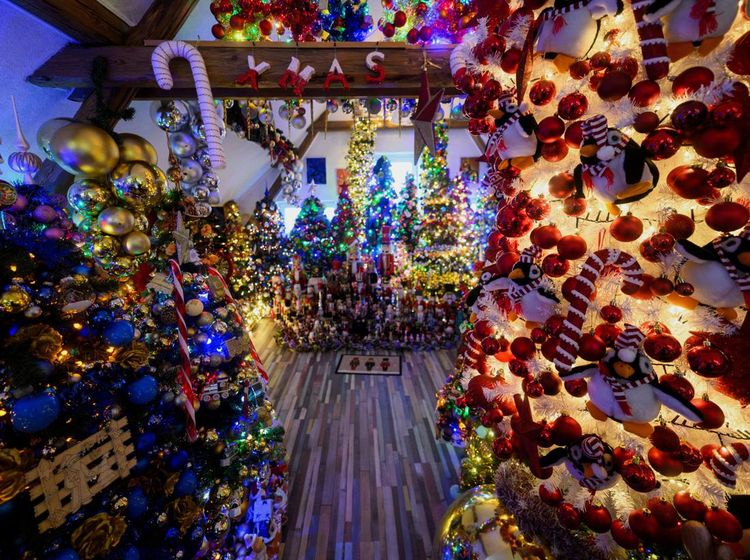 Rekor Dunia, Rumah di Jerman Dipenuhi 621 Pohon Natal