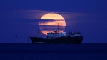 Supermoon terakhir tahun 2025, menerangi langit saat sebuah kapal melintas, di Selat Magellan di Punta Arenas, Chili. Istilah “supermoon” diperkenalkan pada 1979 oleh Richard Nolle untuk menggambarkan purnama yang berada dalam 90% jarak perigee. REUTERS/Pablo Sanhueza