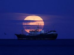 Supermoon Terakhir 2025 Warnai Langit Dunia