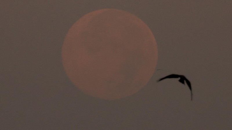The Cold Moon, the last supermoon of 2025, sets over Karachi, Pakistan, December 5, 2025. REUTERS/Akhtar Soomro
