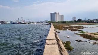 Ini Penyebab Tanggul Laut Rembes hingga Bikin Becek Jalan Muara Baru