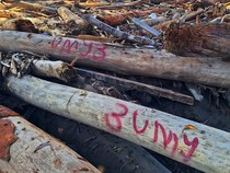 Relawan Banjir Aceh Temukan Gelondongan Kayu Berkode-Bekas Gergaji