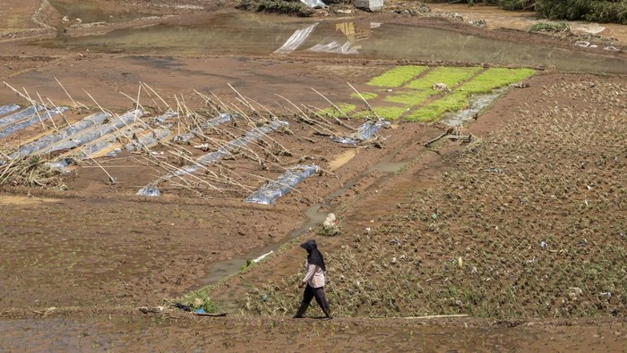 Warga membersihkan material lumpur pascabanjir di objek wisata Lembah Curugan Gunung Putri, Desa Mukapayung, Cililin, Kabupaten Bandung Barat, Jawa Barat, Jumat (5/12/2025). Bencana banjir yang terjadi pada Kamis (4/12) akibat meluapnya Sungai Cibitung tersebut menyebabkan sedikitnya lima hektar lahan persawahan rusak dan merendam objek wisata Lembah Curugan Gunung Putri serta kolam ikan milik BUMDes di kawasan itu. ANTARA FOTO/Abdan Syakura/bar