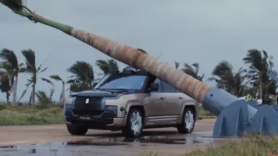 SUV BYD Ditimpa Pohon Palem, Hasilnya Bikin Geleng-geleng!