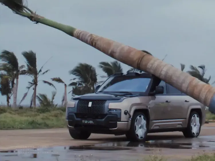 SUV BYD Ditimpa Pohon Palem, Hasilnya Bikin Geleng-geleng!