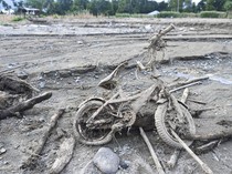 Deforestasi, Banjir Bandang, dan Kapal Noah