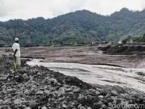 Video: Banjir Lahar Semeru Terjang Permukiman, Ratusan Warga Lari ke Bukit