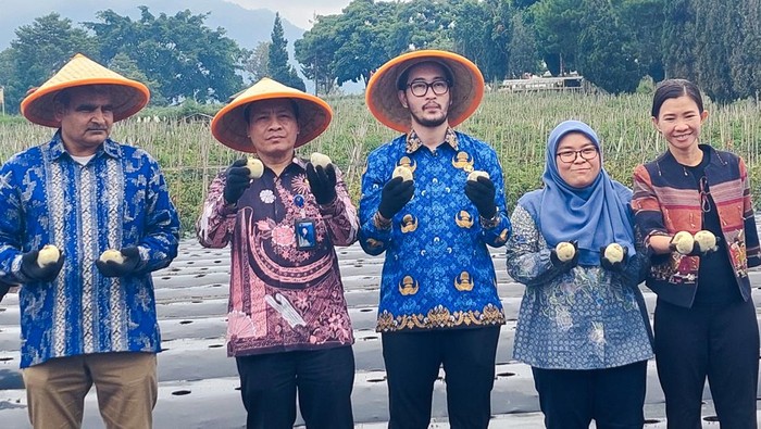 KBB Bidik Daya Saing Global Lewat Pengembangan Kentang Industri