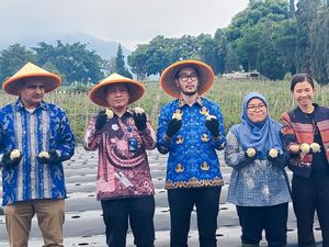 KBB Bidik Daya Saing Global Lewat Pengembangan Kentang Industri