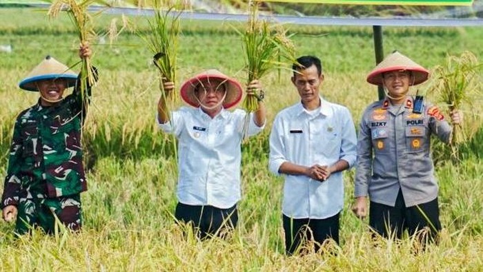 AUTP Selamatkan Petani Karawang dari Gagal Panen
