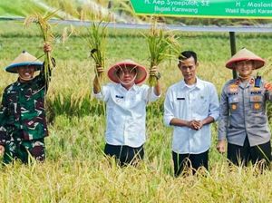 AUTP Selamatkan Petani Karawang dari Gagal Panen