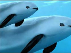 Bukan Photoshop! Hal Unik Ini Real dan Ada di Dunia