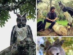 Bukan Photoshop! Hal Unik Ini Real dan Ada di Dunia