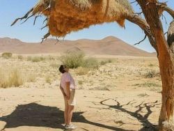 Bukan Photoshop! Hal Unik Ini Real dan Ada di Dunia