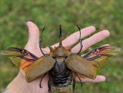 Bukan Photoshop! Hal Unik Ini Real dan Ada di Dunia