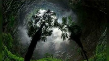Para ilmuwan menemukan hutan bawah tanah raksasa sedalam 197 meter di sebuah lubang runtuhan raksasa di Guangxi, Tiongkok. Foto: Boredpanda