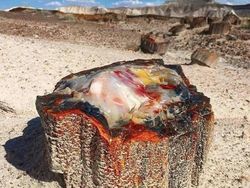 Bukan Photoshop! Hal Unik Ini Real dan Ada di Dunia