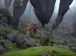 Bukan Photoshop! Hal Unik Ini Real dan Ada di Dunia