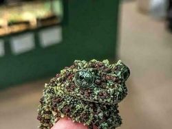 Bukan Photoshop! Hal Unik Ini Real dan Ada di Dunia