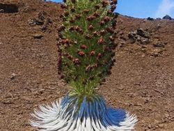 Bukan Photoshop! Hal Unik Ini Real dan Ada di Dunia