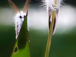 Bukan Photoshop! Hal Unik Ini Real dan Ada di Dunia