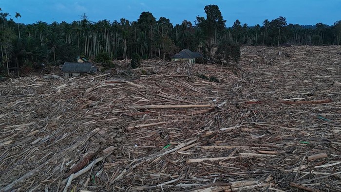 Dikaitkan Pemicu Banjir Sumatera, PT Agincourt Belum Terima Surat Setop Operasi